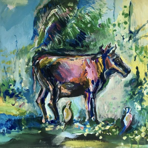 Sri Lankan cow